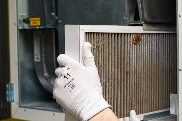 Best Air Duct Mold Removal  in Oak Park, IL
