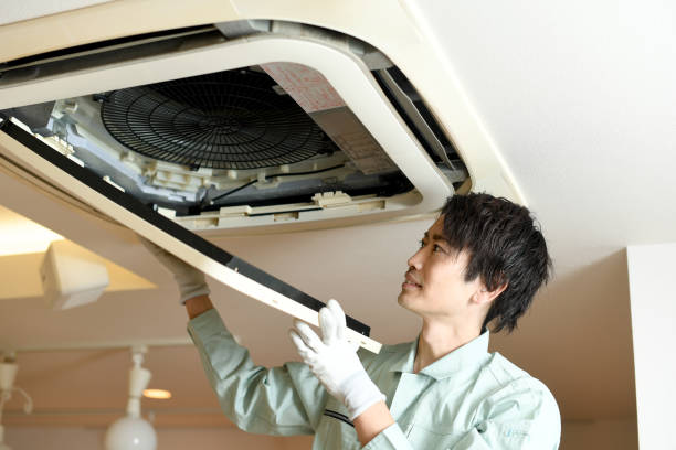 Air Duct Mold Removal in Oak Park, IL